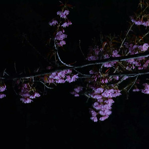 乡村派对1978法国版高清在线播放
